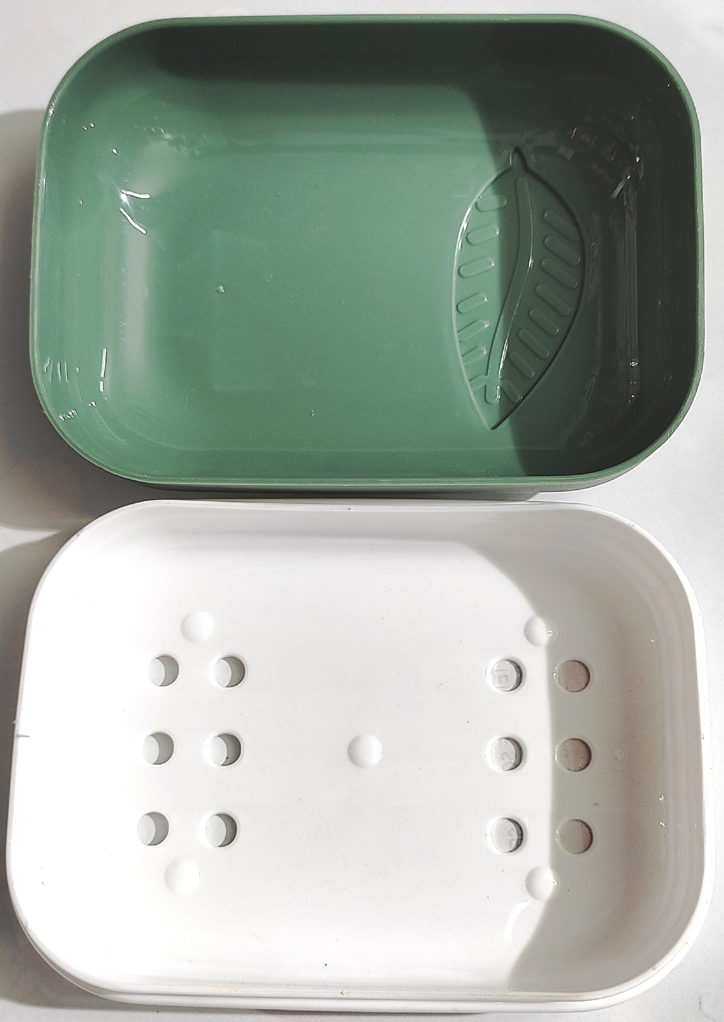 Sonal Leaf Soap Case